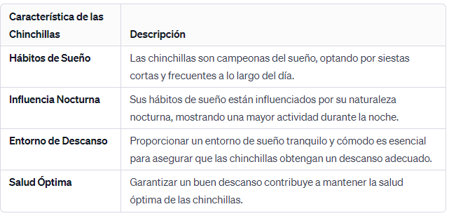 Campeones del Sueño en el Reino Animal Hábitos de Sueño de Chinchilla