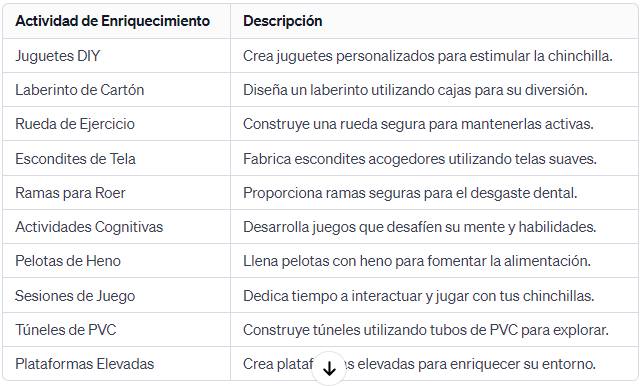 Chinchilla DIY Creando Actividades de Enriquecimiento para Mascotas Felices