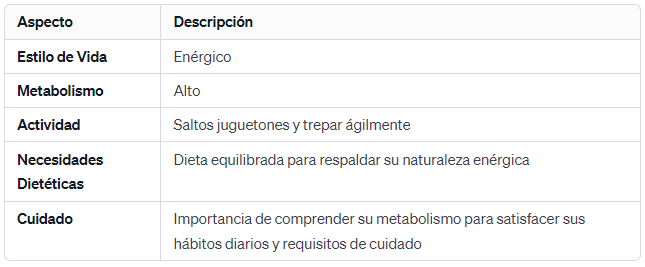 Chinchillas Tienen un Metabolismo Elevado Roedores Energéticos