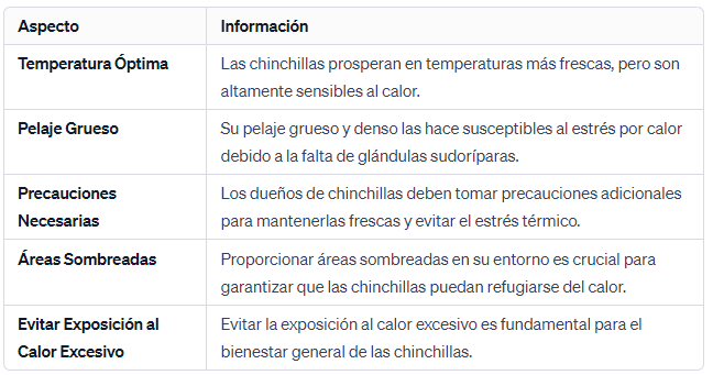 Clientes Frescos Las Chinchillas son Altamente Sensibles al Calor