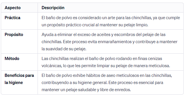 El Arte del Baño de Polvo las Chinchillas se Mantienen Limpias con Estilo