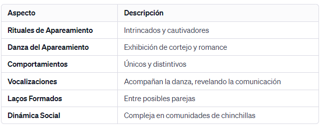 La Danza del Apareamiento de las Chinchillas Rituales Intrincados para el Romance