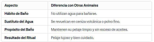 Las chinchillas se bañan en polvo