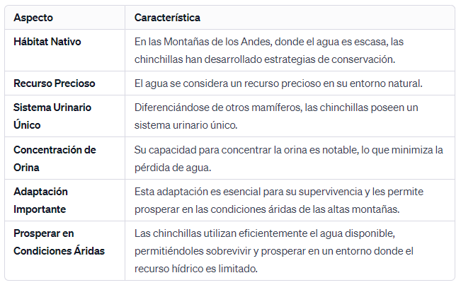 Maravillas Ahorradoras de Agua Las Chinchillas son Maestras de la Conservación