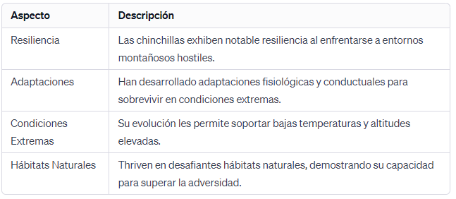 Resiliencia de Chinchilla Sobreviviendo en Ambientes Montañosos Hostiles