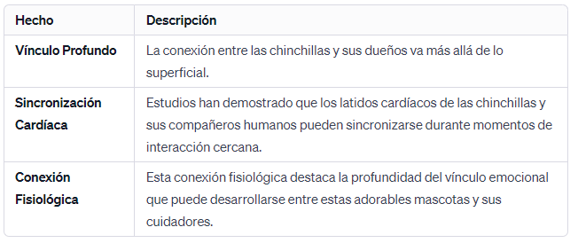 Sincronización de Latidos Cardíacos Las Chinchillas se Vinculan con sus Dueños