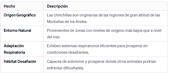 12. Viviendo en Altas Altitudes Las Chinchillas Prosperan en los Andes