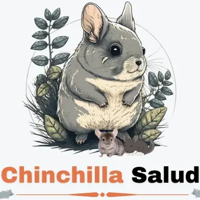 Chinchilla Salud logo