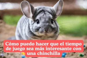 Cómo puedo hacer que el tiempo de juego sea más interesante con una chinchilla